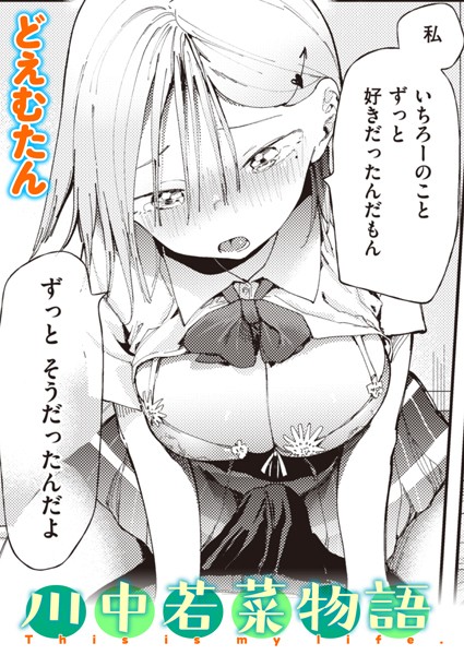 b915awnmg02062【抜けるエロ漫画】川中若菜物語 | どえむたん