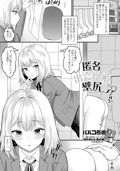 b164aisis05164【抜けるエロ漫画】匿名出会い系壁尻 | パルコ長嶋 一水社編集部